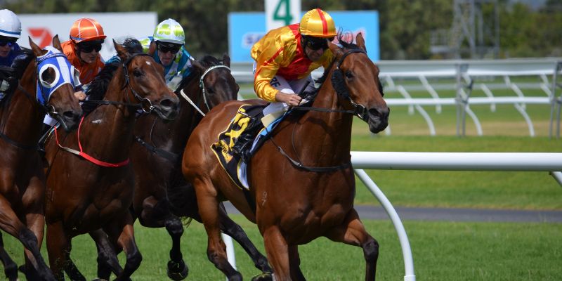 Lucky Derby Go88 có điểm gì hấp dẫn người chơi? Lucky Derby Go88 có điểm gì hấp dẫn người chơi?